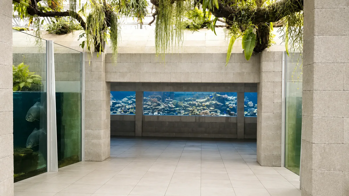 Master Reef – Fertiges Aquarium