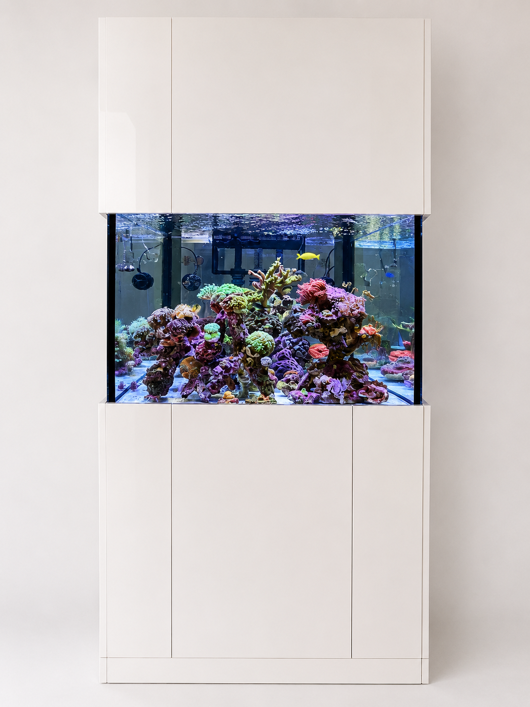 Bauliche Veränderung des Raumteiler-Aquariums mit neuer Einfassung