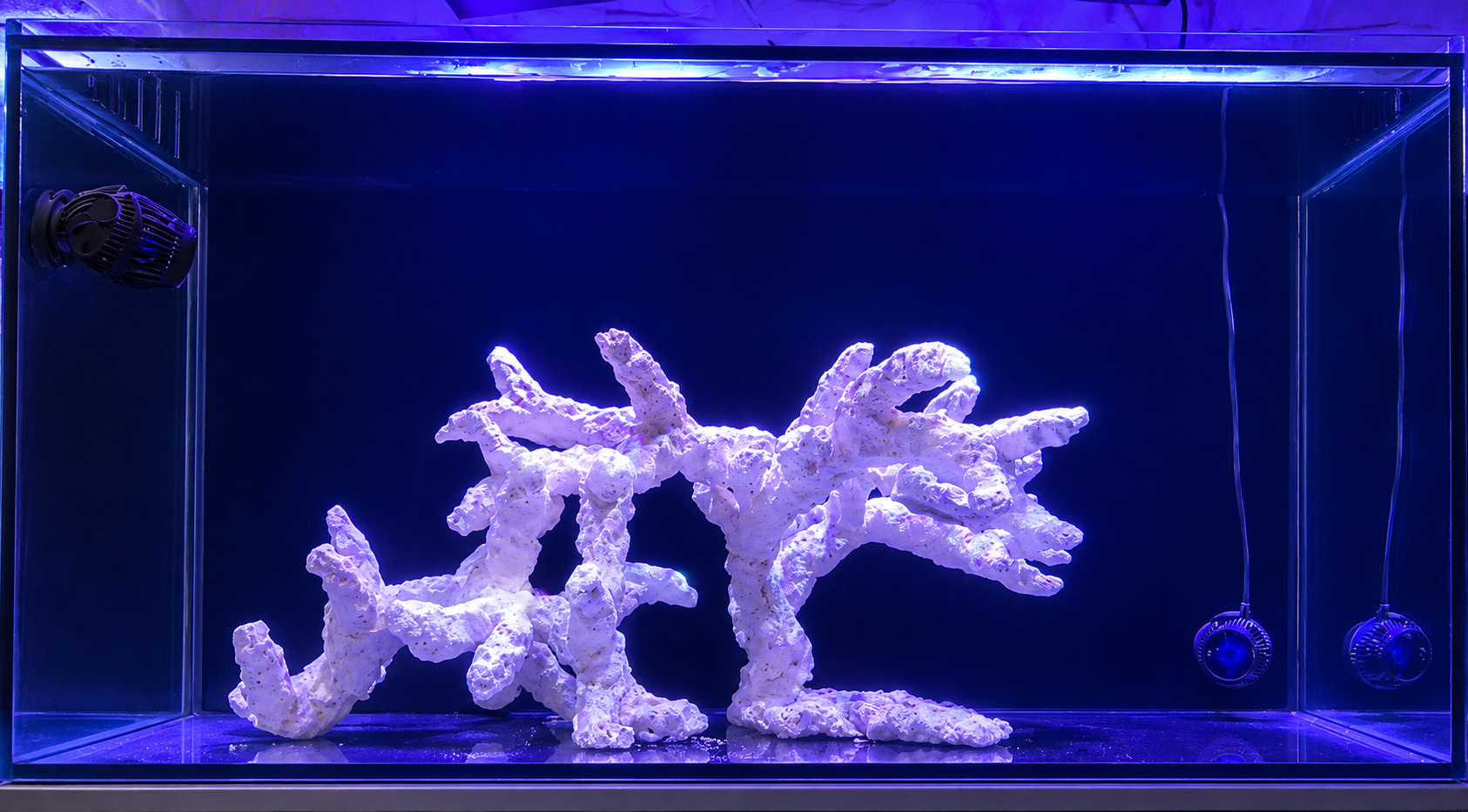 Einbau des ersten Riffs im großen Aquarium