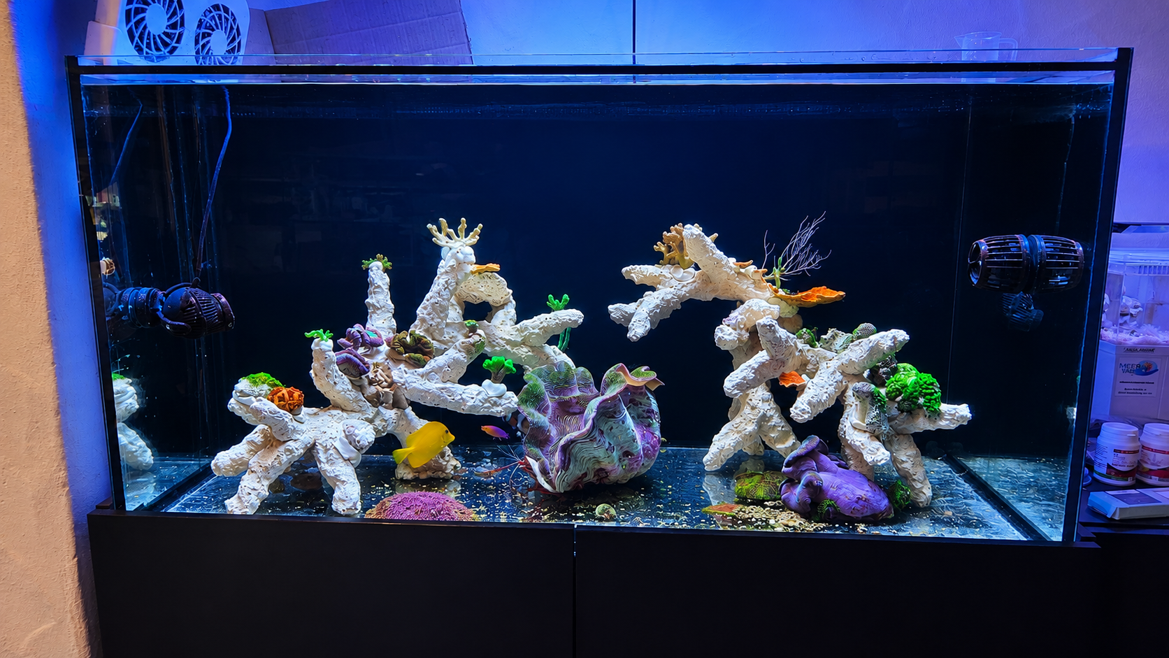 Das Aquarium unmittelbar nach dem zweiten Umbau