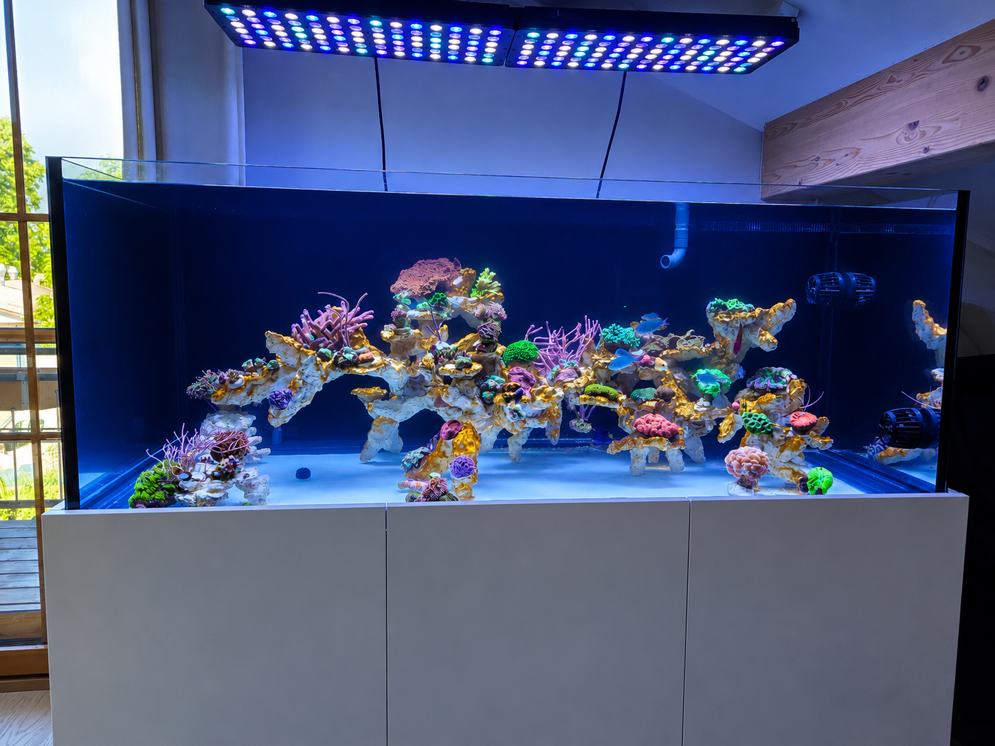XL Reef als fertiges Aquarium